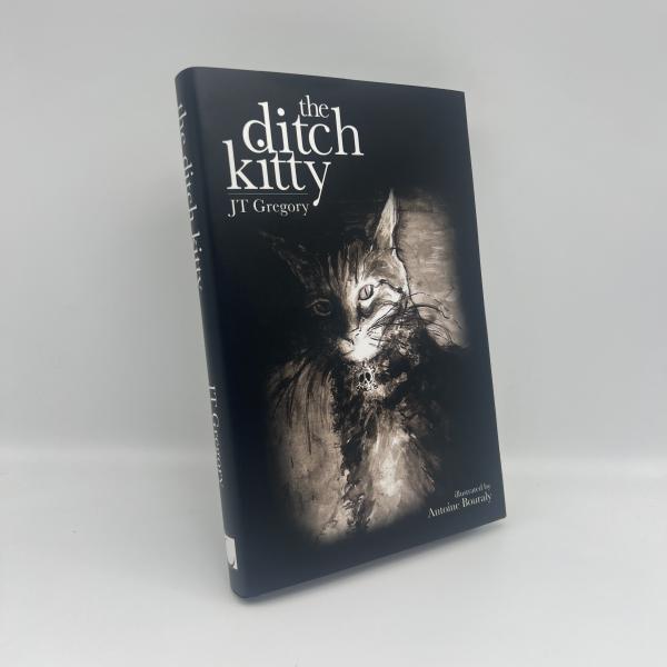 Cheap 120gsm Novel Book Printing Saddle Stitching / Perfect Binding Offset Printing for sale