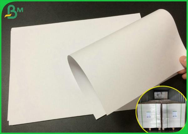Cheap Eco - Friendly Offset Printing Paper Roll 140gram For Paper Bag for sale