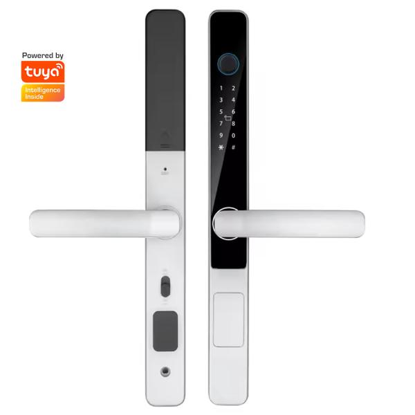 Cheap Glomarket Smart Tuya Waterproof Door Lock Sliding Door Fingerprint Password Remote Control Handle Electronic Intelligent Lock for sale