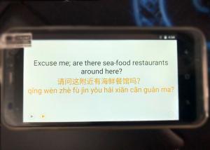 Best Simultaneous Offline Language Translator Black Color With Grammar Correction wholesale