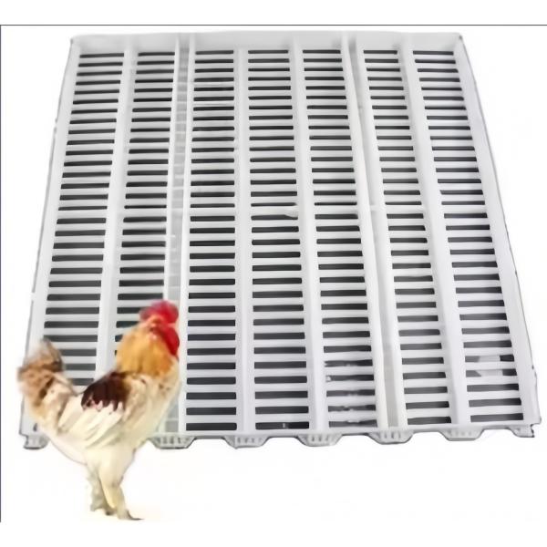 PP Plastic Slatted Flooring for Poultry Broiler Chicken Farm