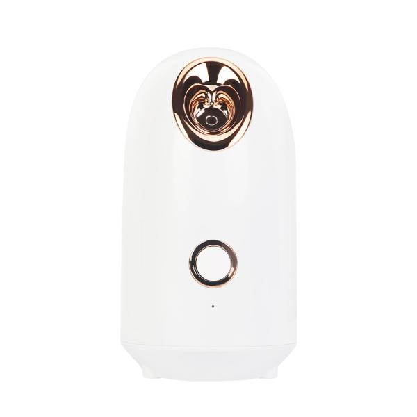 Cheap One Click Home Ion Spray Nano Ionic Facial Steamer for sale