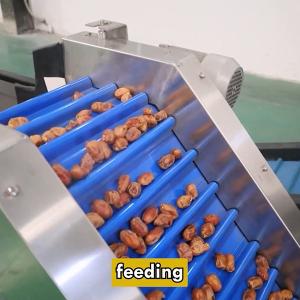 Best Maximizing Productivity In Date Sorting Machine Hourly Capacity Up To 2 Tons wholesale