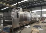 Continuous Peanut Roasting Machine Chain Driven Fully Automatic High Speed