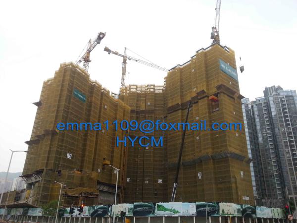 Cheap Popular Model 8tons TC6013 Top Head Tower Crane L46A Mast Section  In North America for sale