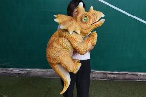 Light Realistic Dinosaur Puppet , Customized Realistic Dinosaur Hand Puppet