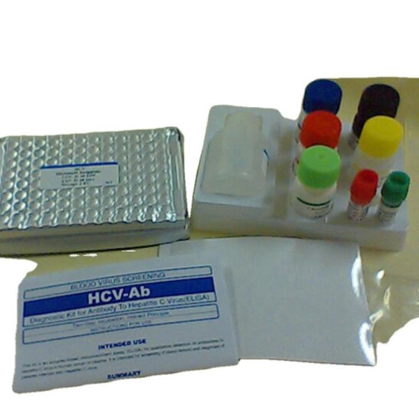 Cheap Interleukin 1 Beta elisa detection kit Human Il1b Elisa Kit Reaserch Use for sale