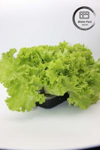 Best Artificial Garden Vegetables and Fruits Plastic Seedling Trays Perfect for Decoration wholesale