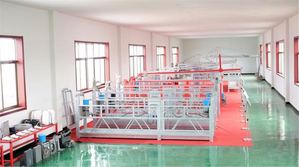 Cheap ZLP1000 Hanging Scaffold Platform For High Building Customized Color for sale