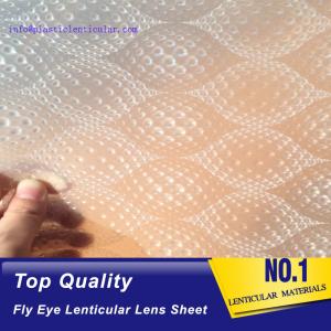 China PLASTIC LENTICULAR fly eye lens array pp 3d led light guide film lenticular honeycomb array on sale