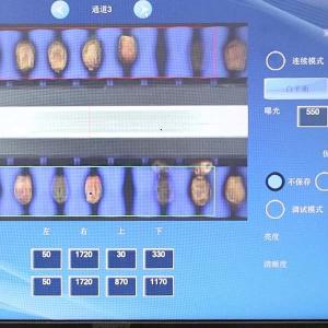 Best Comprehensive Defect Detection 1.4 Tons Per Hour 6-Lane Palm Dates Sorting Machine wholesale