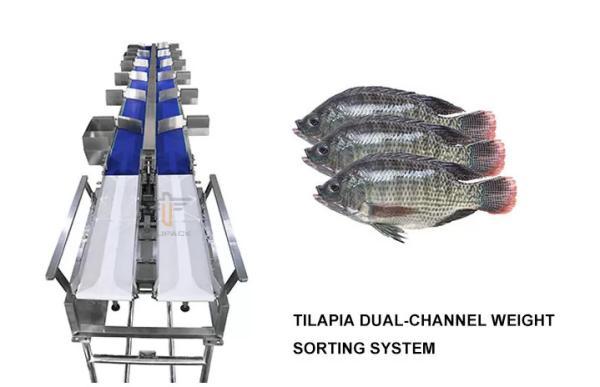 Cheap Circular multi Weight Sorting Check Machine Waterproof High Speed Check Weigher Conveyor Machine For Food for sale
