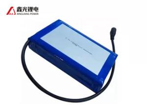 China 11.1V 70000mAh Rechargeable High Capacity Lithium Polymer Battery on sale
