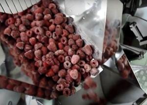 450kg Multihead Weighing Machine For IQF Strawberry Frozen Fruit Filling Machine