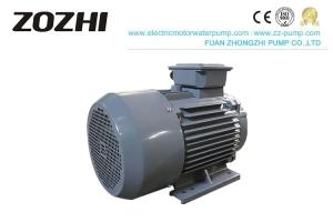 China Cast Iron Three Phase Asynchronous Motor , AC Induction Motor Driving Application on sale