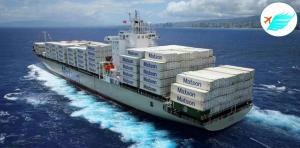 Best Freight International Agent Bulk Cheap Best Lcl Cargo Service Sea Shipping Rates To Malaysia wholesale