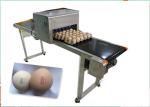 Drag Type Operation Egg Batch Printing Machine Continuous With 1 - 8 Lines Date