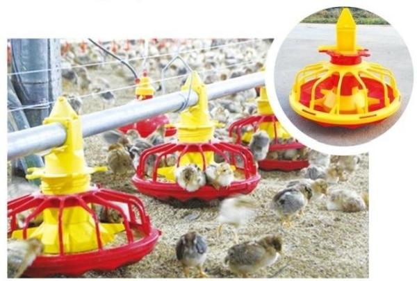 Cheap Automatic Feeding System For Broilers And Layers for sale