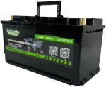 Bluetooth LiFePO4 lithium Iron Phosphate Battery 12V 100Ah With BMS