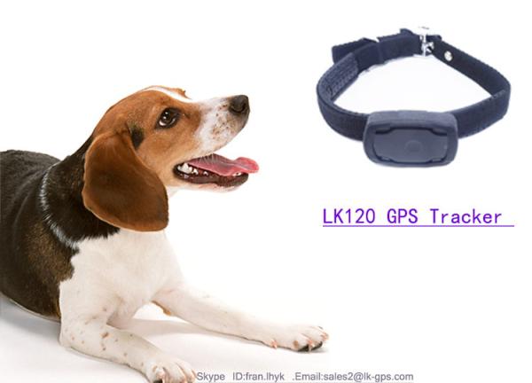Cheap Newest PET Product mallest mobile smart sim card gps vehicle hidden gps tracker for DOG for sale
