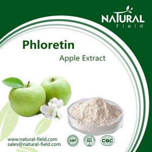 Best Best Sells Product Phloretin, Free Samples Green Apple Extract, China Supplier Apple Extra wholesale