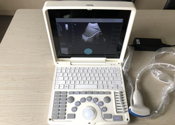 Cheap Portable Pregnancy Ultrasound Scanner Intelligent Zoom 12 " LCD Hand-carried with 3.5MHz convex probe for sale