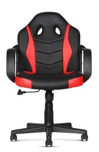 Ergonomic Revolving Gaming Swivel Chairs 2.5 Mm Mechanism 0.19 CBM  Paddle Shift