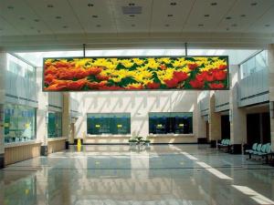 P3 Nationstar LED Screen Display Indoor Fixed LED Display for Hospital Station Using