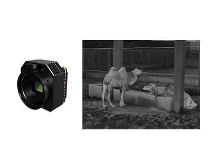 Cheap High Sensitivity Thermal Security Camera Uncooled Infrared Module for sale