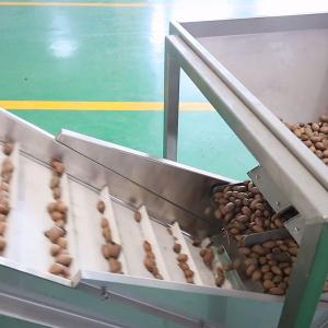Best CE Endorsed Pecan Nuts Sorting Machine 7kW 380V Capable 1-2 Tons With 8 Gates wholesale