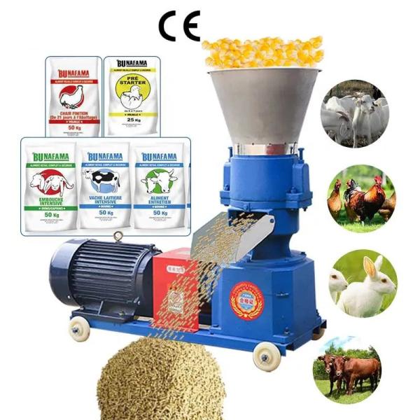 Cheap Automatic Control Feed Grinding Machine 12mm Pellet Making Machine for sale
