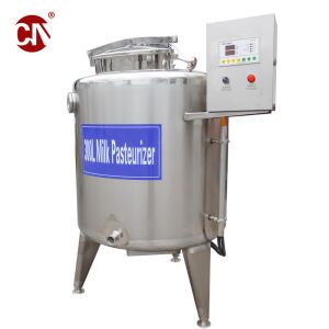 Ice Cream Processing Made Easy Complete Milk Processing Line with Overseas