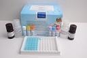 Cheap Portable Elisa Microplate Reader With Large LCD Display for sale