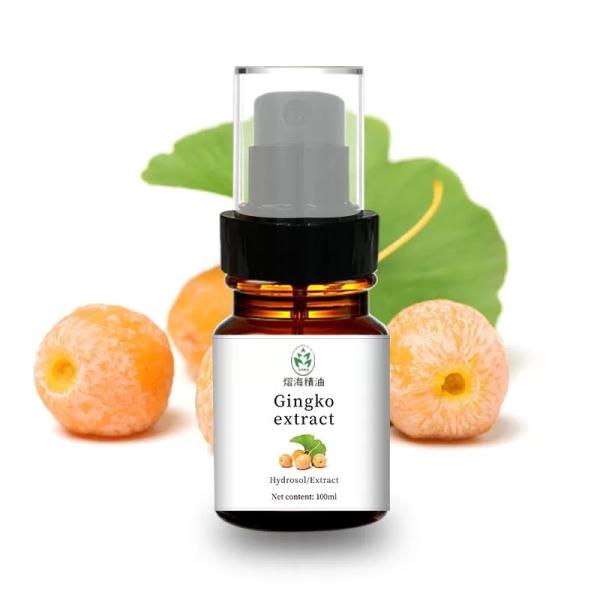 Cheap Detoxification Natural Hydrosol Ginkgo Biloba Leaf Extract OEM/ODM for sale