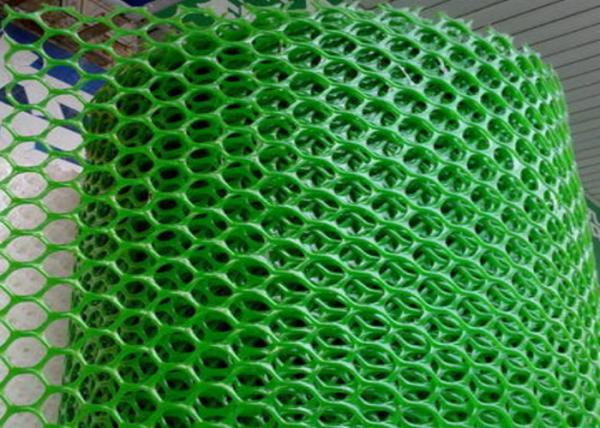 Cheap 250gsm Plastic Netting Mesh for sale