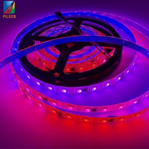 China WS2811 Programmable RGB LED Pixel Tape 60 Leds 12V Strip Remote Control Addressable Color for Garden Decoration KTV club on sale