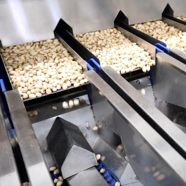 Cheap 380V Jumbo Akbari Pistachio 8 Exits Nuts Sorting Machine For Grading And Sizing for sale