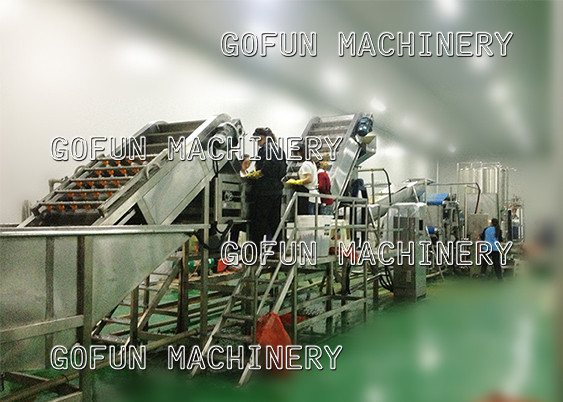 Food Grade Complete Tomato Paste Making Machine 1500t/D