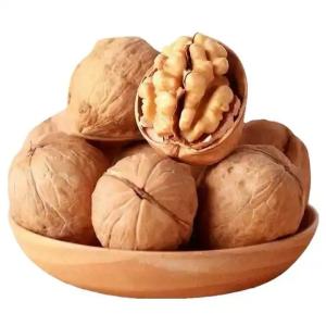 Best China Fastest Shipping and Freshest Natural 185 Walnut kernel without shell wholesale