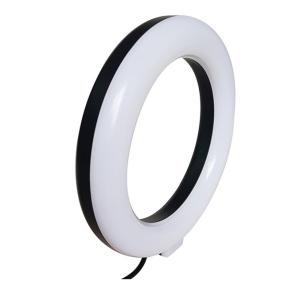China Usb Ring Light LED Selfie Ring Light With Cell Phone Holder Portable For Advertisement Photograph on sale