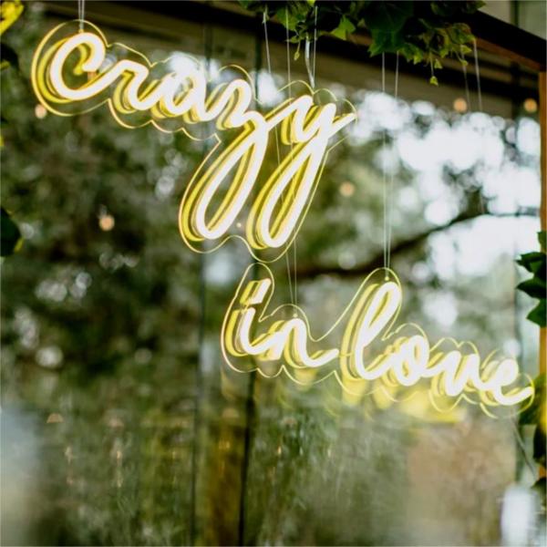 Cheap Custom 110-240V LED Acrylic Signage Decorative Outdoor LED Neon Signs for sale