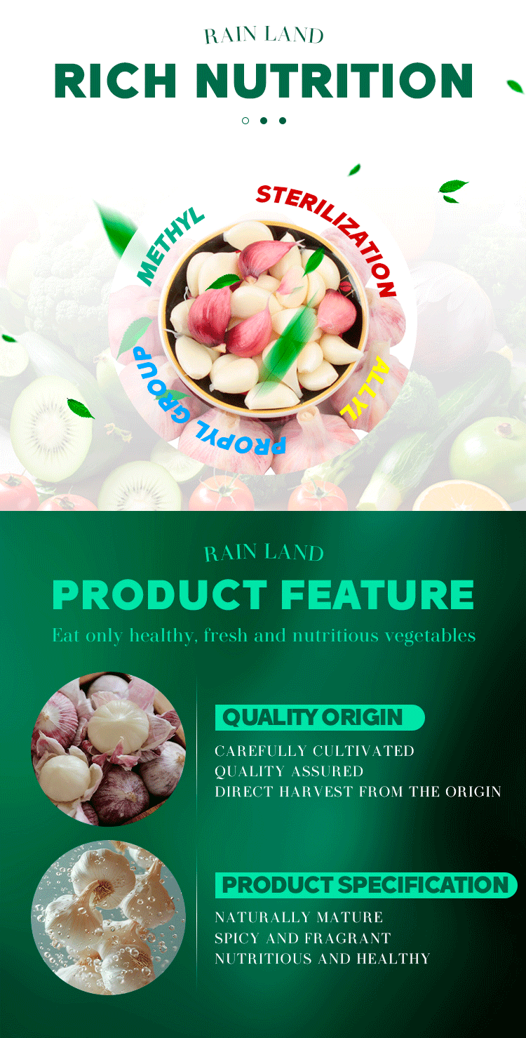 Fresh Garlic Bulk from China Farm Direct Supply White Garlic