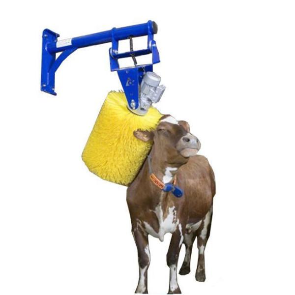 Cheap Dairy Farm Cattle Cow Scratching Brush Roller TUV Certificated for sale
