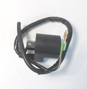 China TITAN 150 12v/24v motorcycle Ignition coil transformer ignition on sale