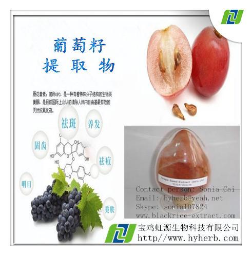 Cheap Grape Seed Extract For Skin Wrinkles for sale