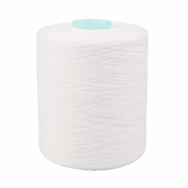 Cheap Spun Polyester Yarn 20 / 2 20 / 3  Anti - Bacteria , Customized Polyester Staple Yarn for sale