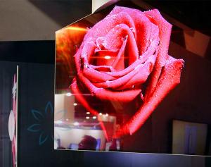 Rich Color Flexible OLED Display Screen / Dual View OLED Computer Display