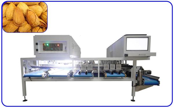 Cheap AI Grading Sorting Machine 12 Channel Mechanical Almond Sorting Equipment for sale