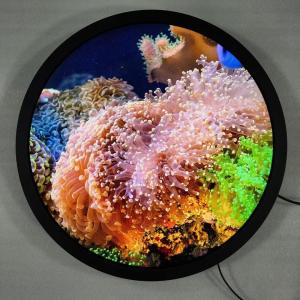 Quad-core Cortex-A53 Round Art Display Free Standing Digital Signage And Optional Touch Screen
