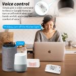 Tuya Alexa Timing Wifi Operated Switch Controller Module